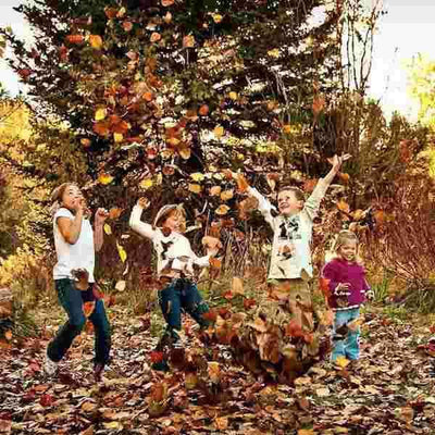 Fall Activities for Kids