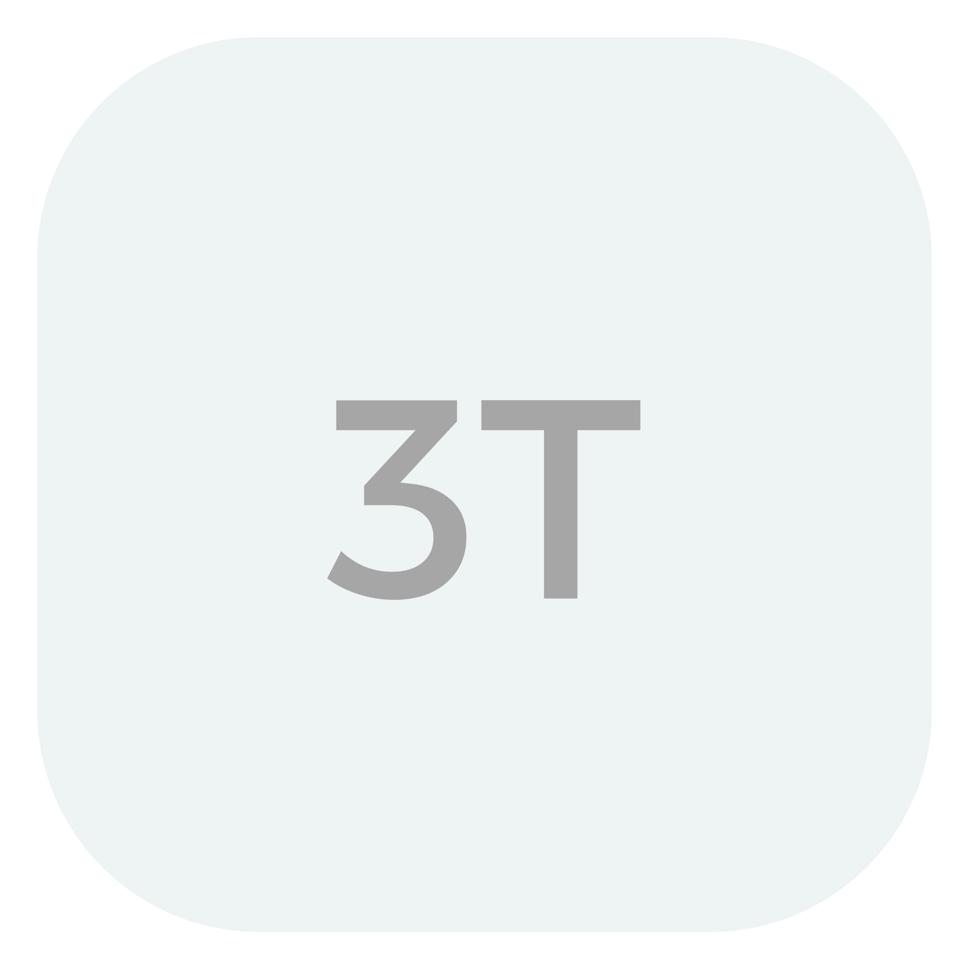 3t