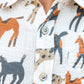 Boys. Giddy-Up Jacob Jacob Buttondown Shirt