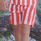 Boys. Hotel Del Wylie Shorts