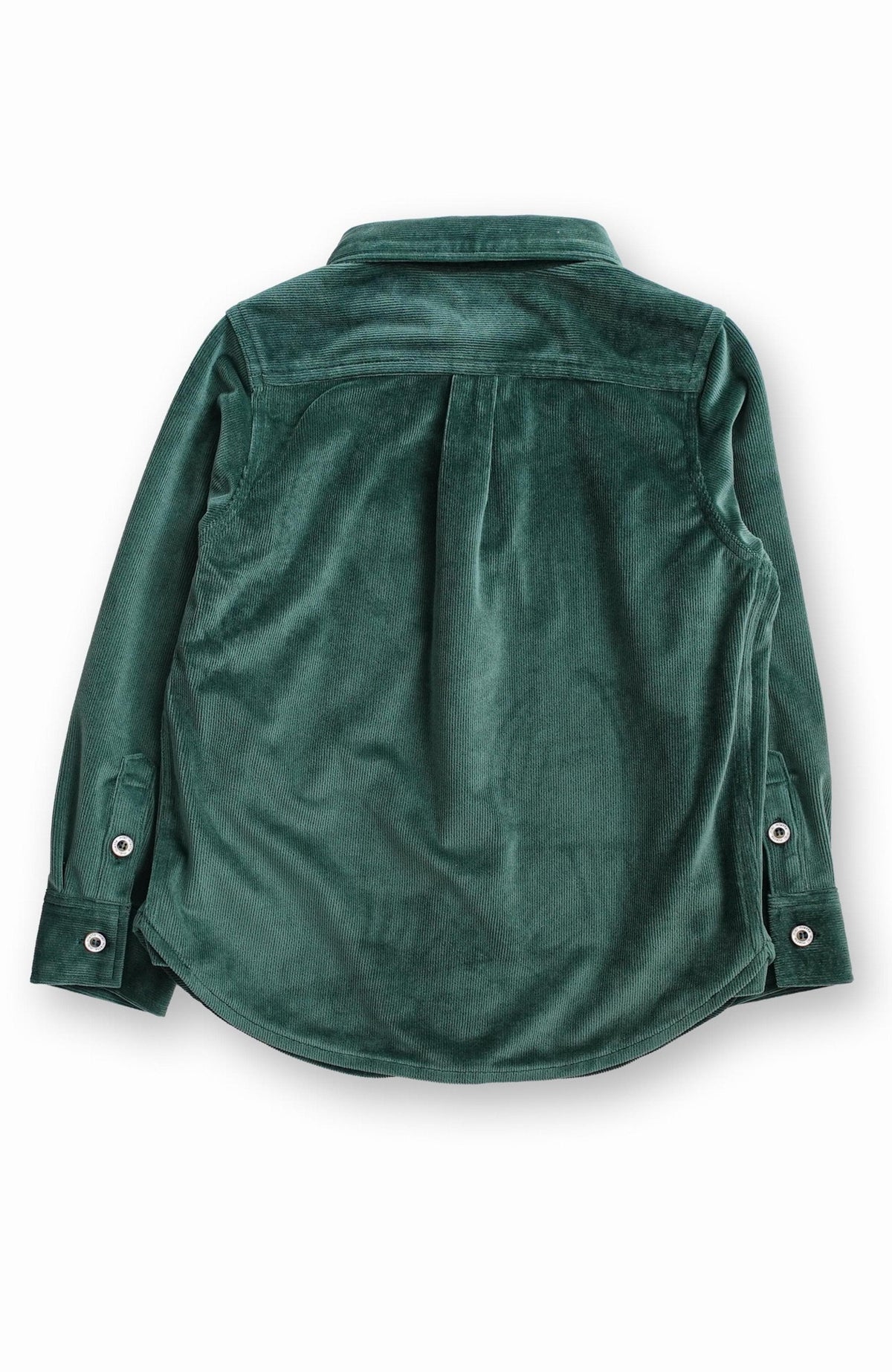 Boys. Pine Jacob Buttondown Shirt